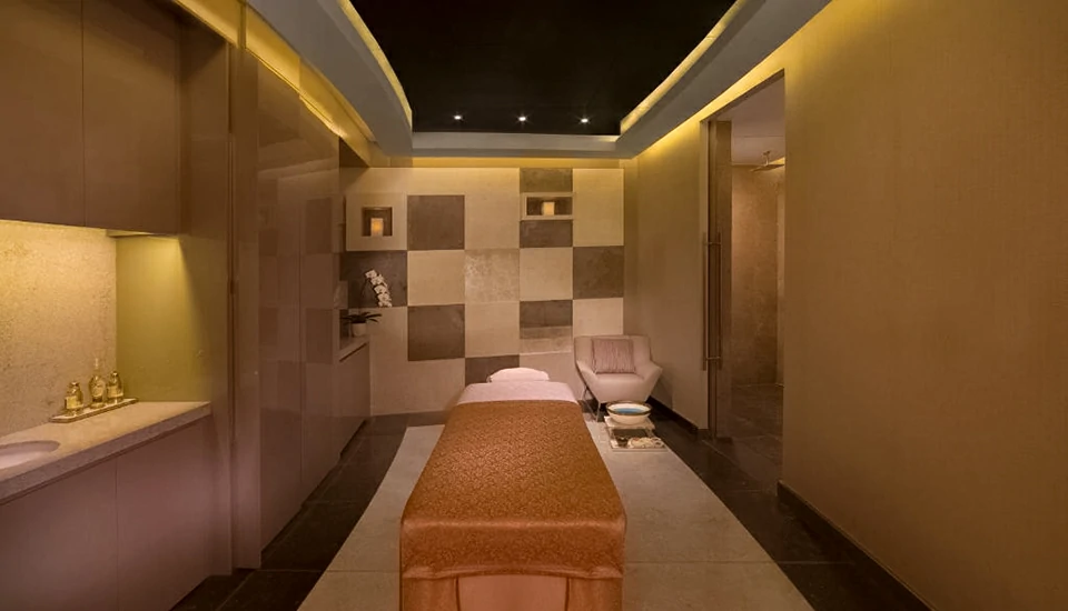 هتل حیات ریجنسی کریک هایتس دبی